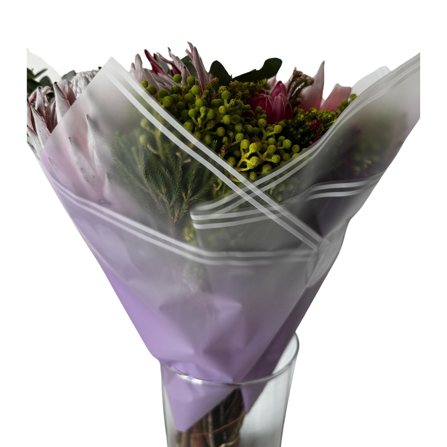 Bopp Silk Wrap: Transparent Purple Colour with White Stripe Border EPP0804F (Pack of 20)(R2.45ea)