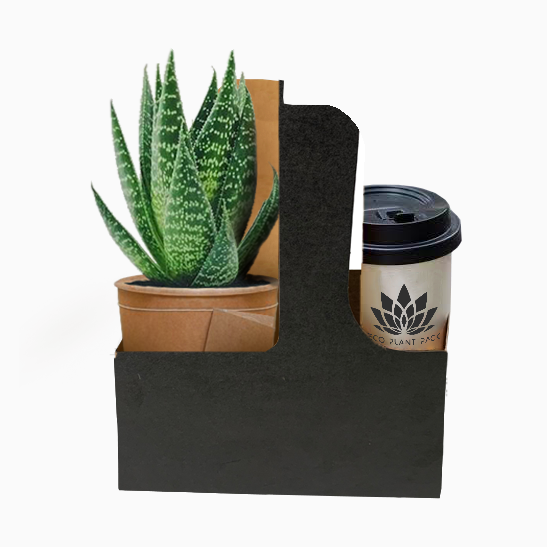 Black Posy Coffee Flower Box 1 (Pack of 20) EPP1034 (Pack of 20)(R10.95ea)
