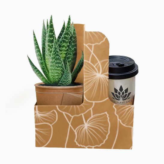 Ginko Biloba Posy Coffee Flower Box 1 (Pack of 20) EPP1034D (Pack of 20)(R10.95ea)