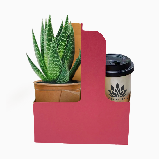 Pink Posy Coffee Flower Box 1 (Pack of 20) EPP1034G (Pack of 20)(R10.95ea)