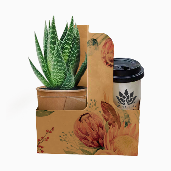 Protea Posy Coffee Flower Box 1 (Pack of 20) EPP1034I (Pack of 20)(R10.95ea)