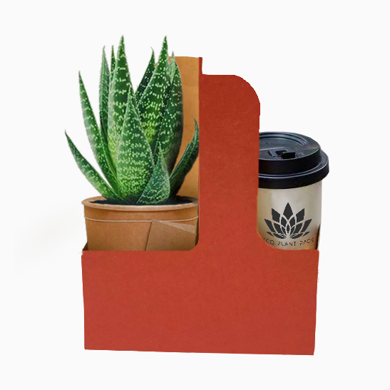 Red Posy Coffee Flower Box 1 (Pack of 20) EPP1034J (Pack of 20)(R10.95ea)