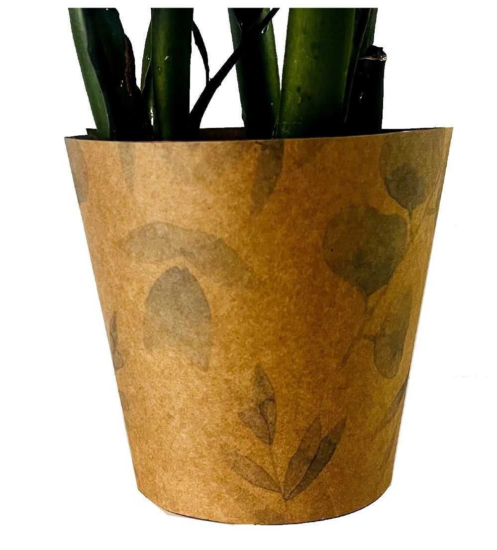 Eucalyptus Print Kraft Pot Cover For Plants (pack of 20)