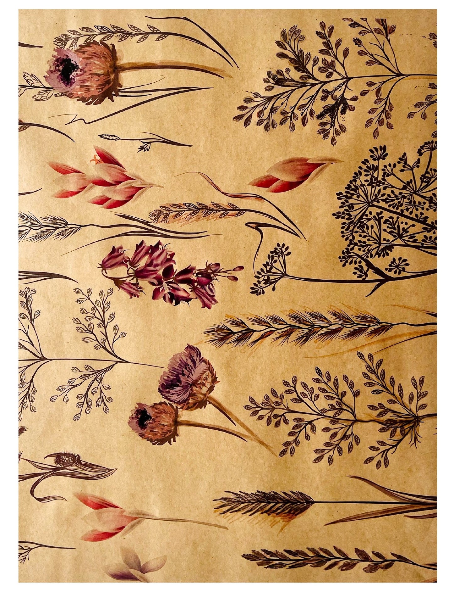 Meadow Print Kraft Orchid Pot Cover Drop-In Sleeve (Pack of 20) (R10.29ea)