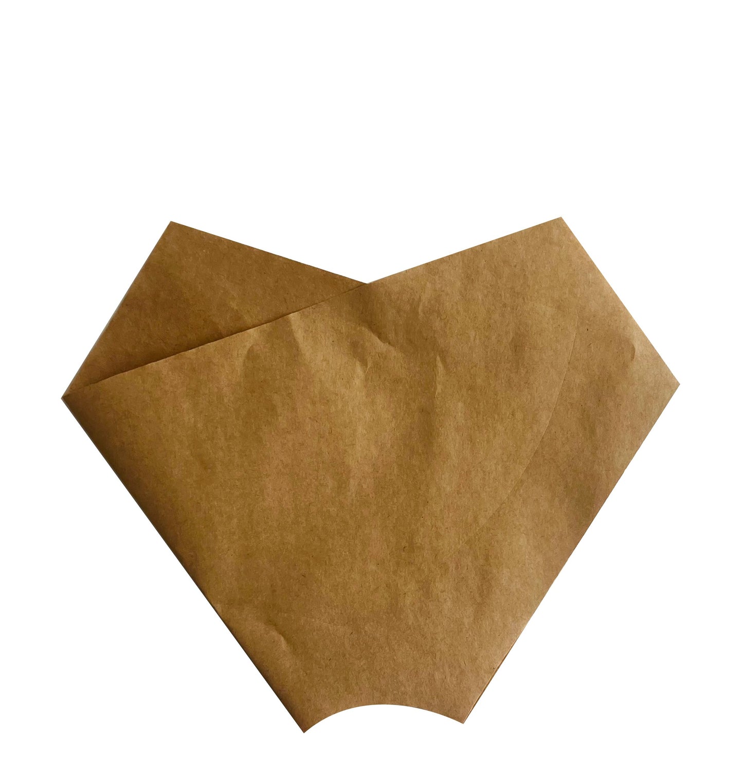 Plain Kraft Eco Bouquet Drop-In Sleeve 2 (Pack of 20)