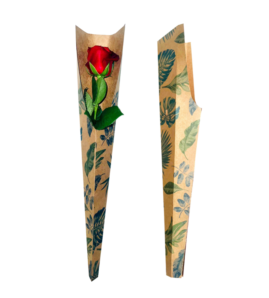 Botanical Print Single Rose Drop-In Sleeve (Pack of 20) (R7.46ea)