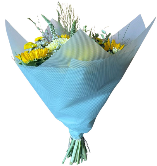 Bopp Silk Wrap: Transparent multi-lines, Mint Green EPP1036B (Pack of 20)(R2.45)