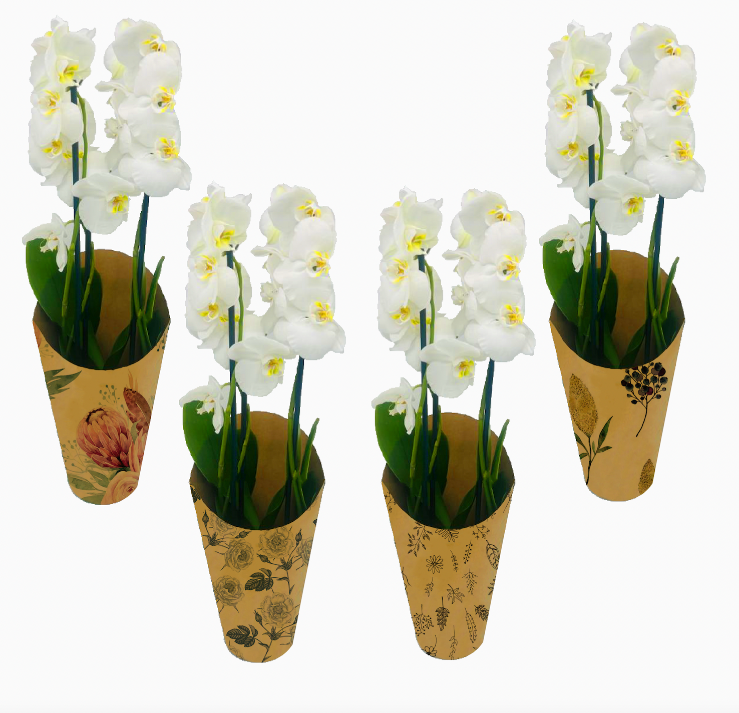 Orchid Pot Cover Drop-In Sleeve