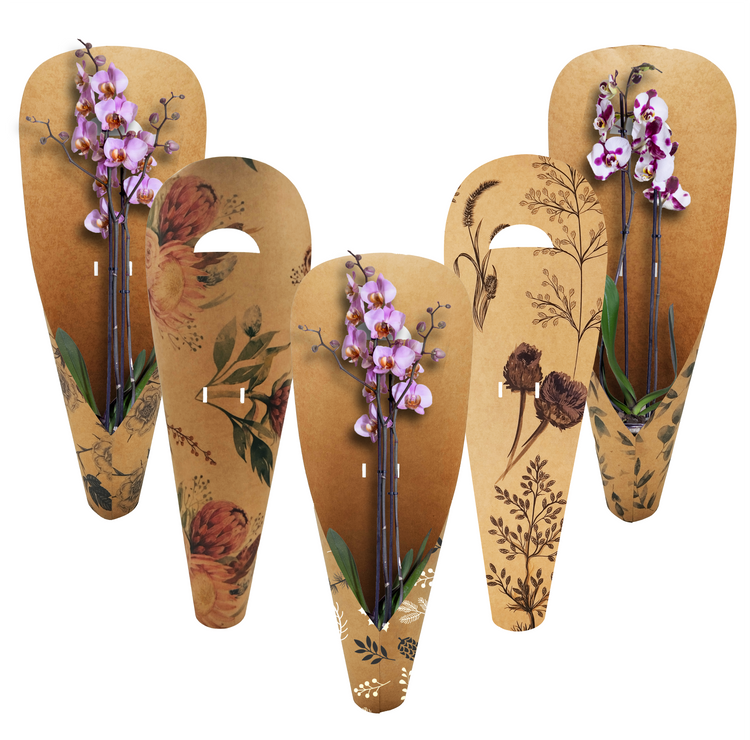 Large Orchid Carry Bags