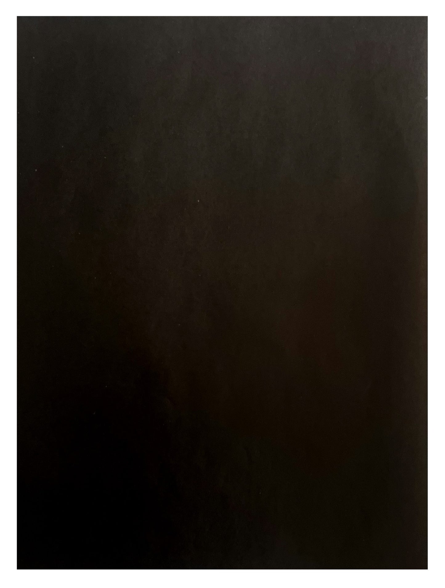 Black Print Eco Bouquet Drop-In Sleeve 1 (Pack of 20)