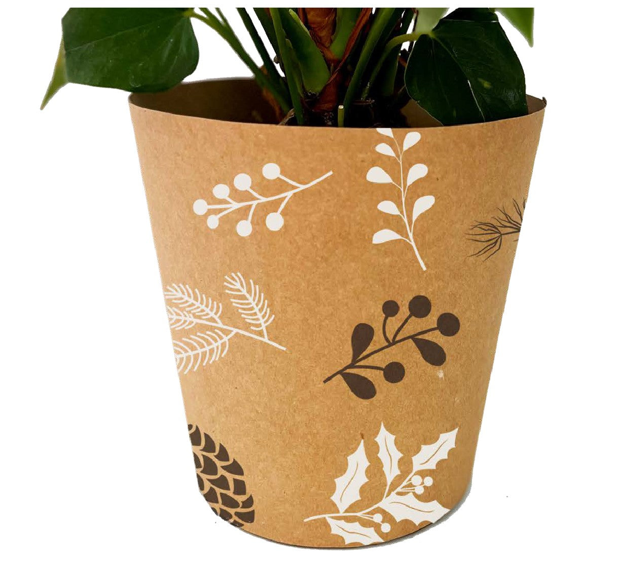 Black & White Pinecone Print Kraft Pot Cover For Plants (pack of 20)