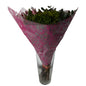 Bopp Silk Wrap: Transparent with Dark Bright Pink Rose Print EPP0804I (Pack of 20)(R2.45ea)