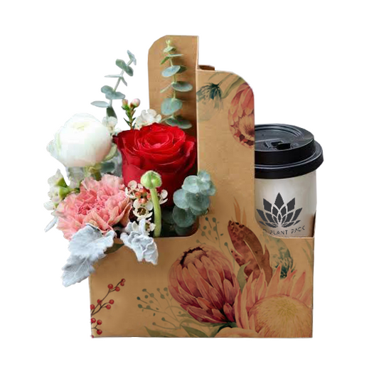 Protea Posy Coffee Flower Box 1 (Pack of 20) EPP1034I (Pack of 20)(R10.95ea)