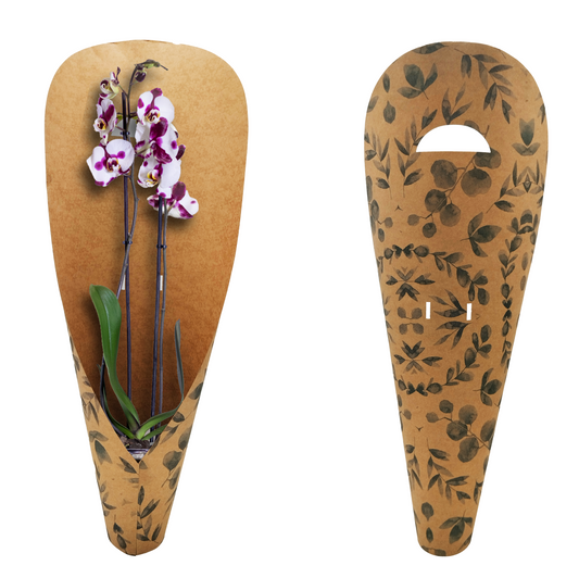Eucalyptus Print Large Orchid Carry Bags (Pack of 20) (R19.49ea)