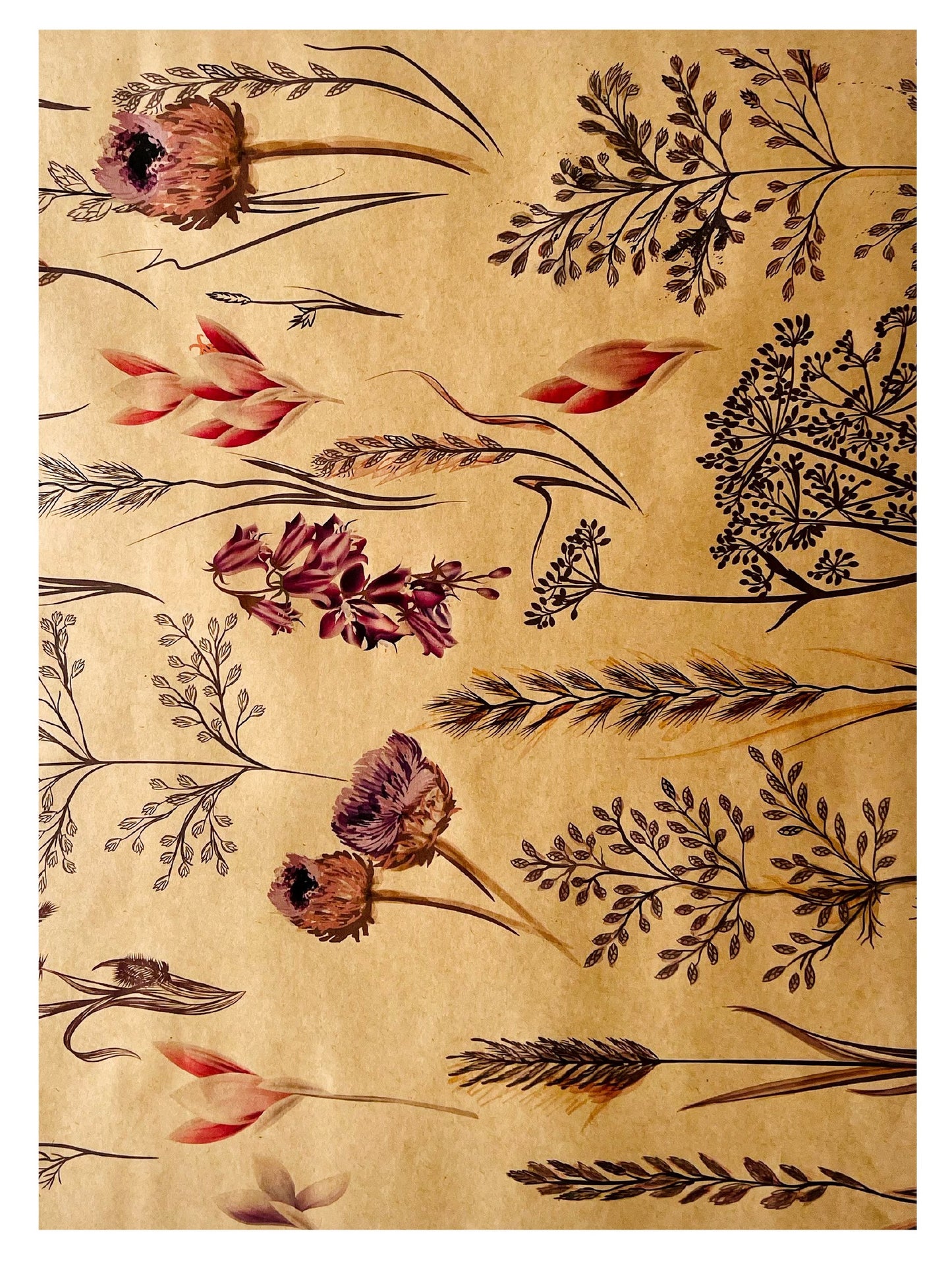 Meadow Print Eco Bouquet Drop-In Sleeve 2 (Pack of 20)
