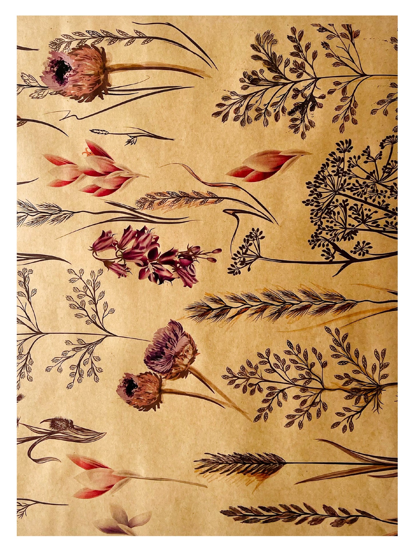 Meadow Print 60gsm Kraft Paper Sheets (Pack of 200 sheets)(R2.59c Per Sheet)
