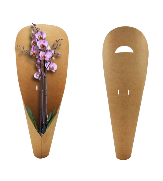 Plain Kraft Large Orchid Carry Bags (Pack of 20) (R16.04ea)
