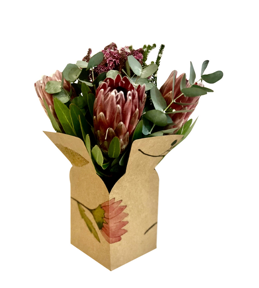 Fynbos Print Posy Flower Box 1 (Pack of 20)