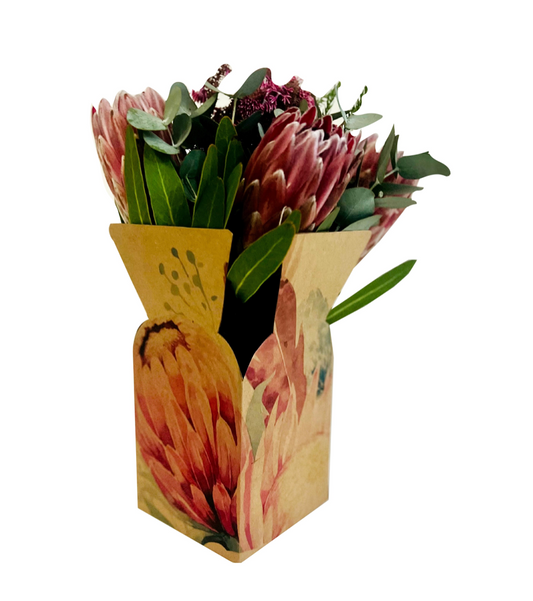 Protea Print Posy Flower Box 1 (Pack of 20)