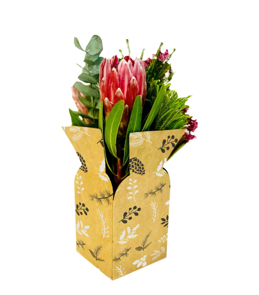 B&W Pinecone Print Posy Flower Box 1 (Pack of 20)