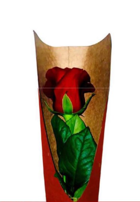 Red Print Single Rose Drop-In Sleeve (Pack of 20) (R7.46ea)