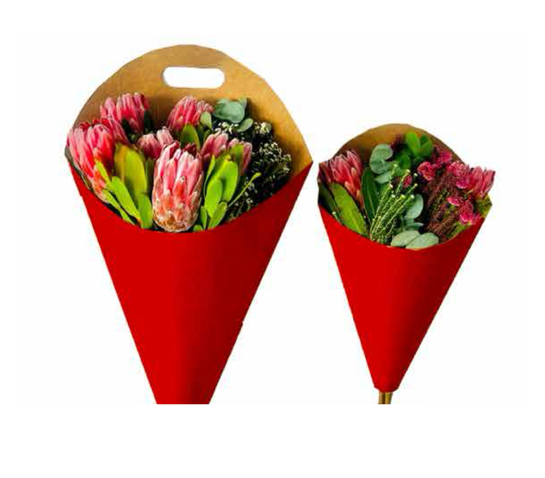 Red Print Bouquet Drop-In Carry Bag 2 (pack of 20)