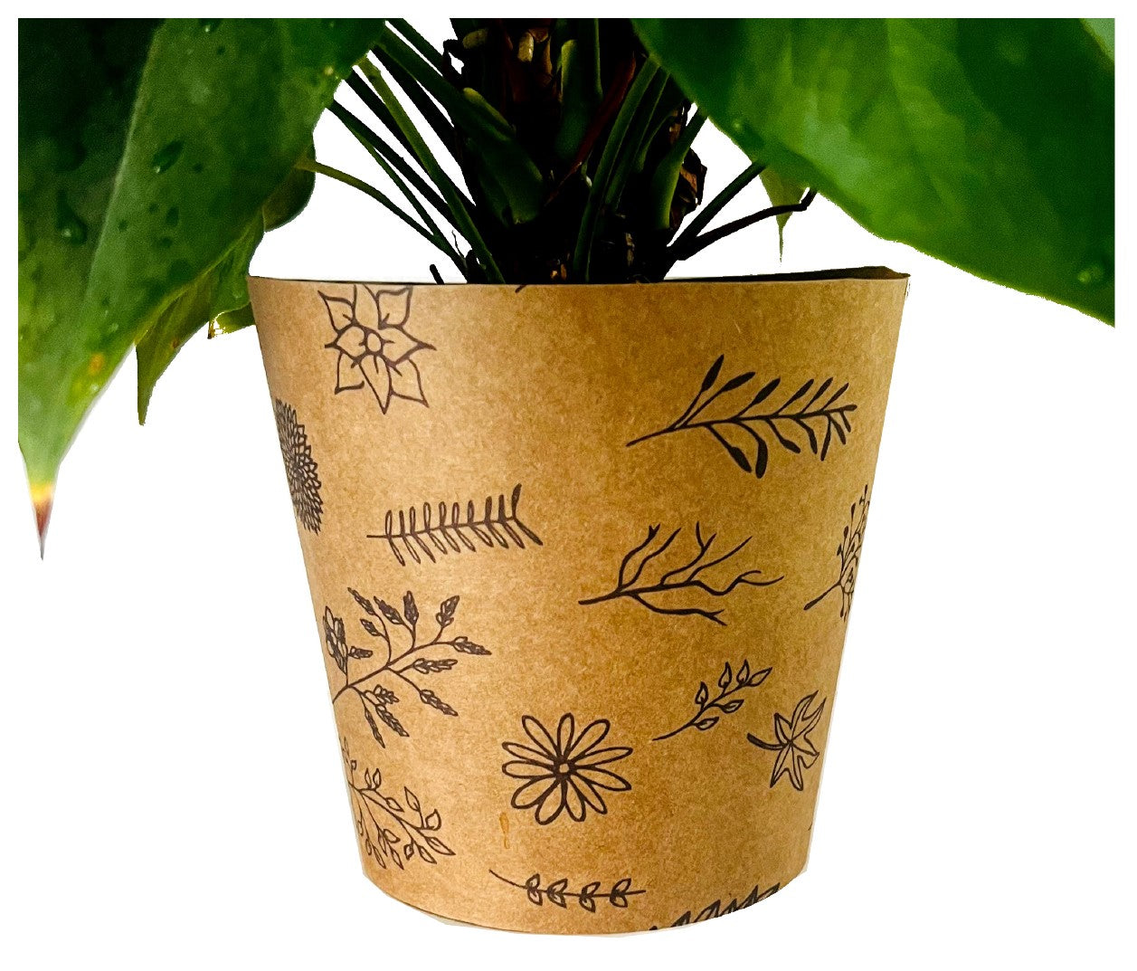 Wildflower Print Kraft Pot Cover For Plants (pack of 20)
