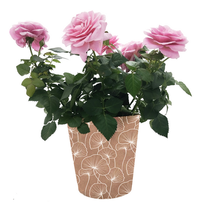 Ginkgo Biloba Print Kraft Pot Cover For Plants (pack of 20)