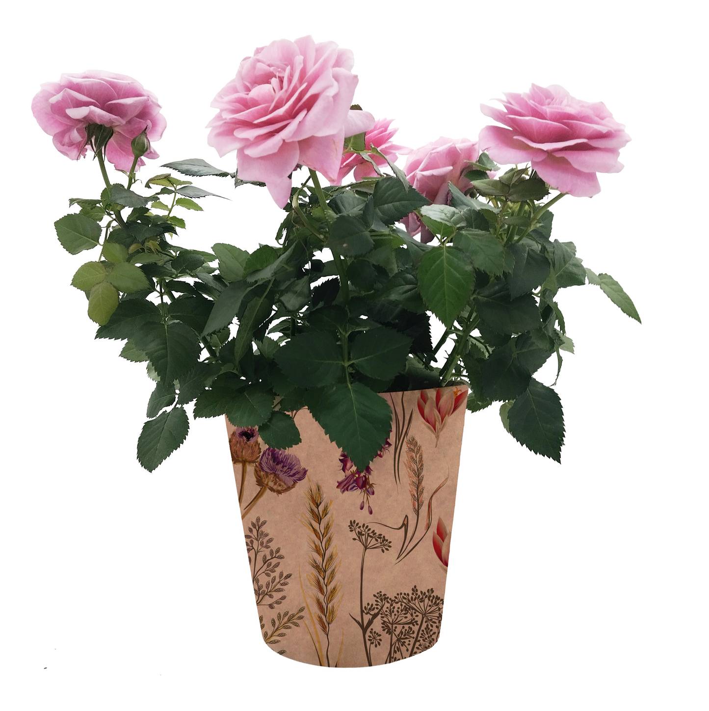 Meadow Print Kraft Pot Cover For Plants (pack of 20)