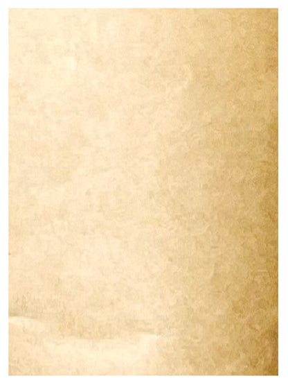 Plain Kraft Eco Bouquet Drop-In Sleeve 2 (Pack of 20)