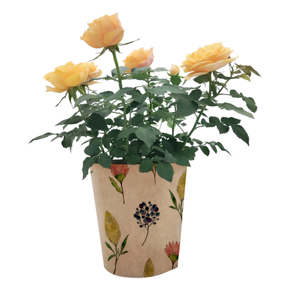 Fynbos Print Kraft Pot Cover For Plants (pack of 20)