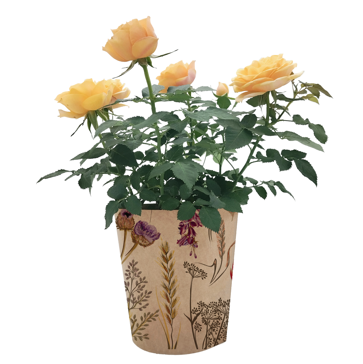 Meadow Print Kraft Pot Cover For Plants (pack of 20)