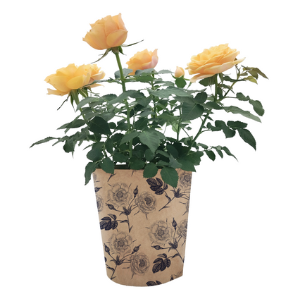 Rose Print Kraft Pot Cover For Plants (pack of 20)