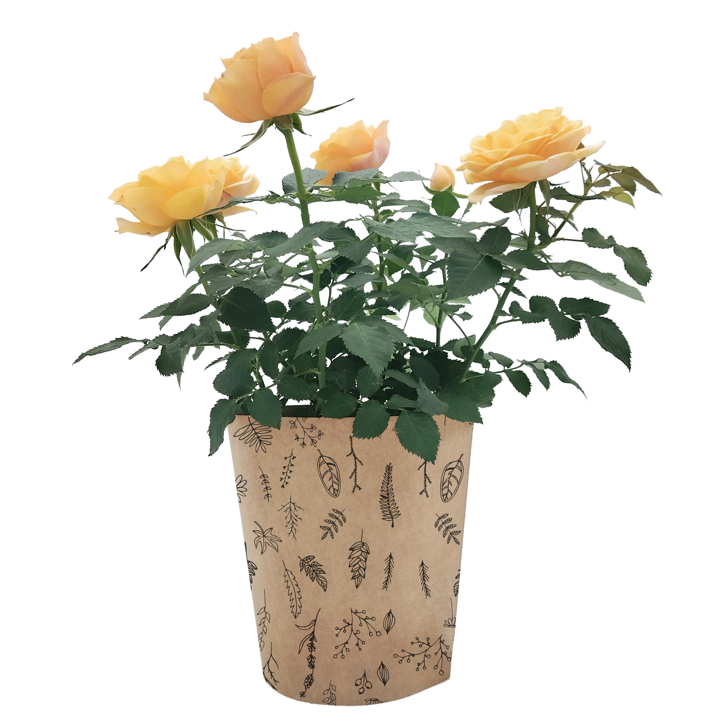 Wildflower Print Kraft Pot Cover For Plants (pack of 20)
